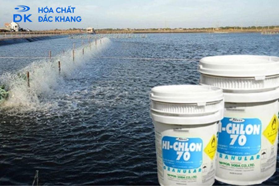 #Cách Xử Lý Nước Mưa Để Nuôi Cá Trong Ao Khỏe Mạnh