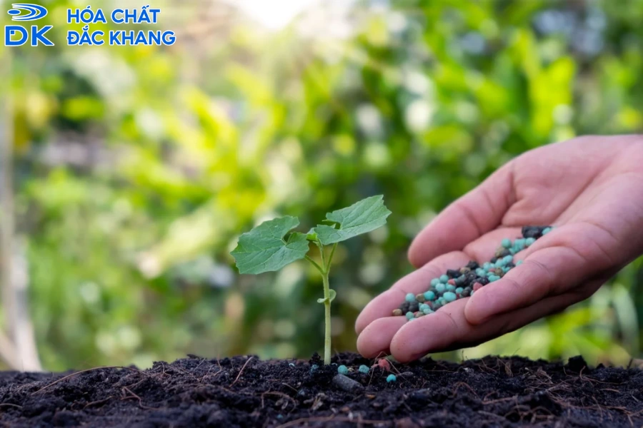 Vai Trò Của Phân Bón Lưu Huỳnh Đối Với Các Loại Cây Trồng Và Cách Sử Dụng Hiệu Quả
