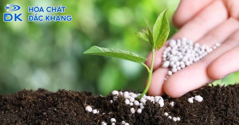 Acid Sulfuric H2SO4 25% Và Các Ứng Dụng Công Nghiệp Quan Trọng