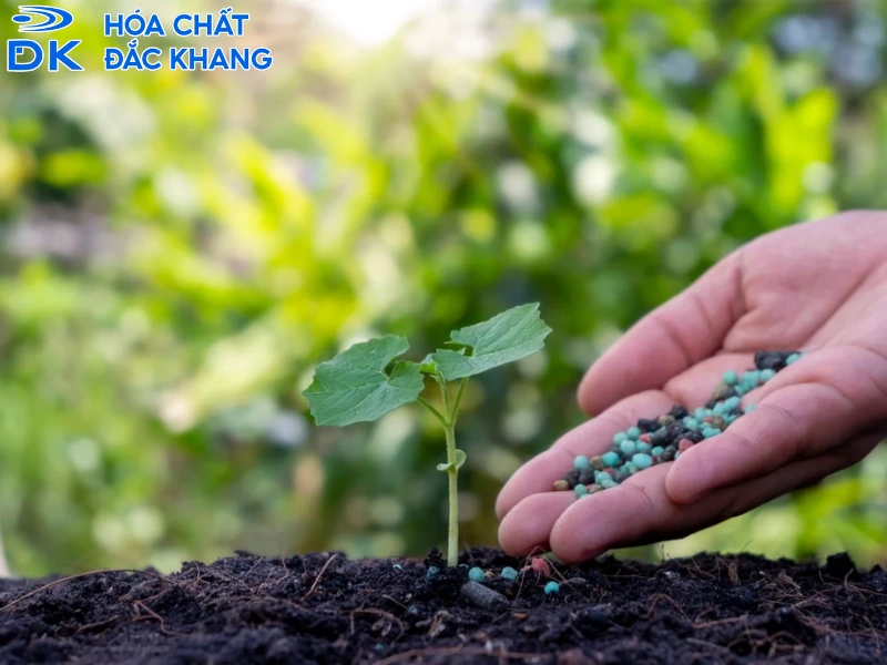 phân bón chứa lưu huỳnh