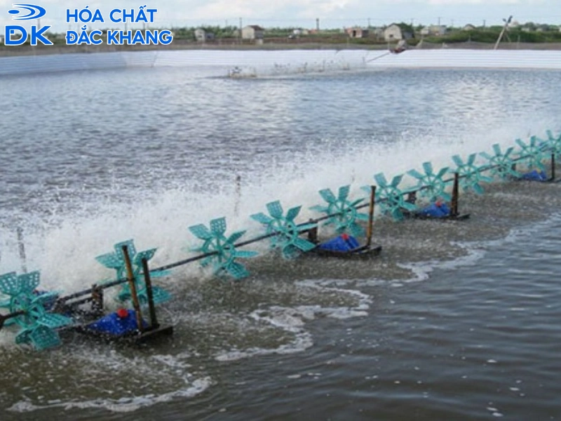 sử dụng oxy già trong nuôi tôm thẻ