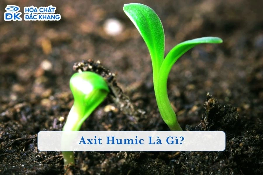 Axit Humic Là Gì? Thành Phần Và Tác Dụng Với Cây Trồng