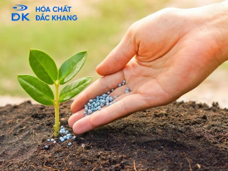 ứng dụng của h2so4