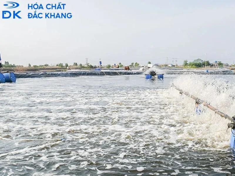 sử dụng oxy già trong thủy sản sử dụng oxy già trong thủy sản