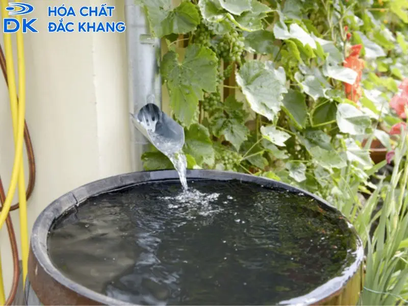 cách khử clo trong nước máy