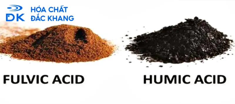 Sự khác biệt chính của Kali Humate và Fulvic Acid