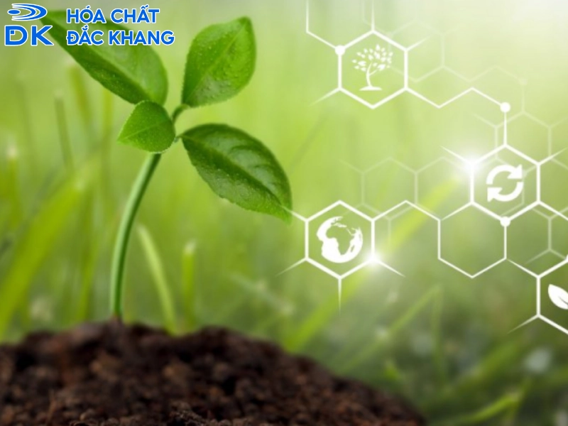 tác dụng của lưu huỳnh đối với cây trồng tác dụng của lưu huỳnh đối với cây trồng