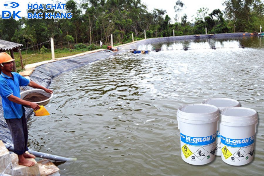 #Hướng Dẫn Sử Dụng Chlorine Đơn Giản Và Dễ Hiểu Nhất