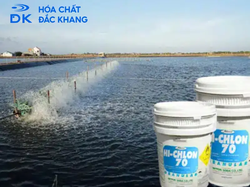 #Tác Dụng Của Chlorine Trong Thủy Sản Và Lưu Ý Khi Sử Dụng