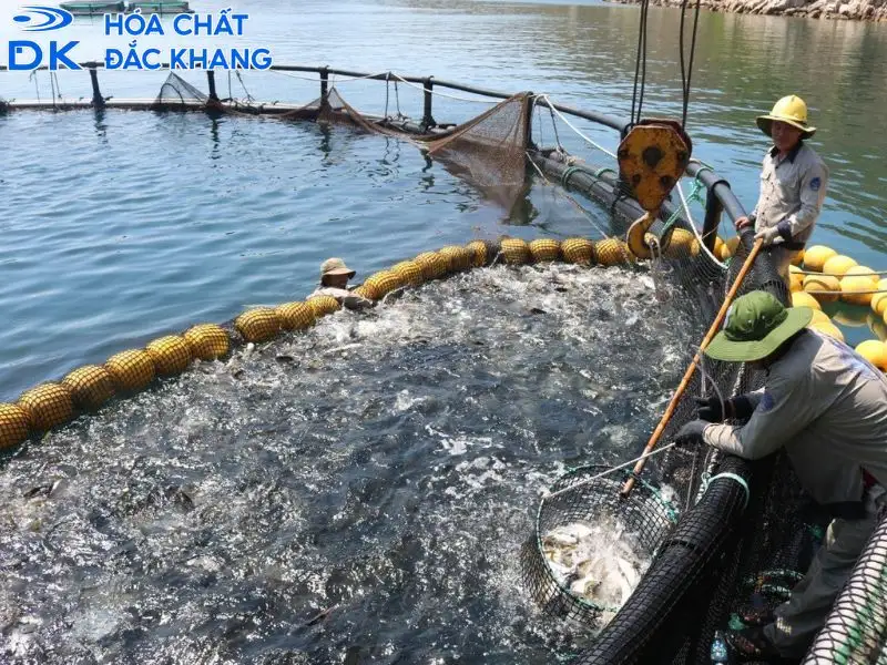 Rủi ro tương kỵ hóa chất và quy trình ứng phó khi quá liều Rủi ro tương kỵ hóa chất và quy trình ứng phó khi quá liều