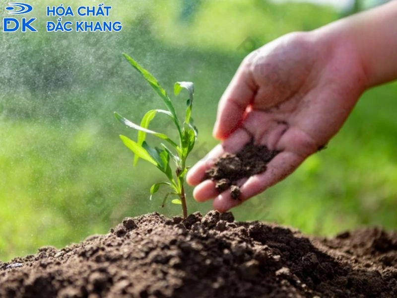 Đơn vị cung ứng Kali Humate uy tín và chuẩn hàm lượng