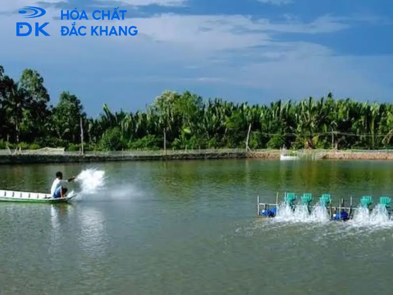 #Tác Dụng Của Chlorine Trong Thủy Sản Và Lưu Ý Khi Sử Dụng