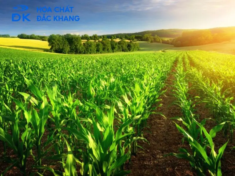 cách sử dụng viên sủi ga3 cách sử dụng viên sủi ga3