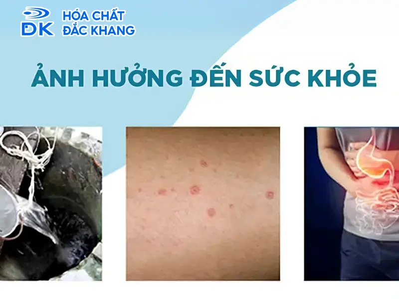 cách xử lý nước giếng đào có mùi hôi