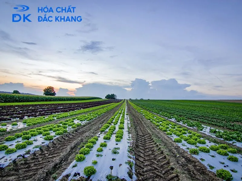 cách sử dụng viên sủi ga3 cách sử dụng viên sủi ga3