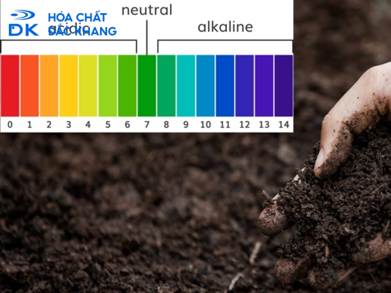 acid sulfuric H2SO4 điều chỉnh pH đất nông nghiệp