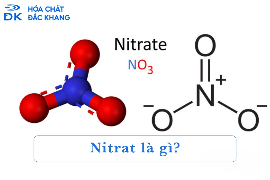 Nitrat Là Gì? Sử Dụng Nitrate Có Hại Cho Sức Khỏe Không?