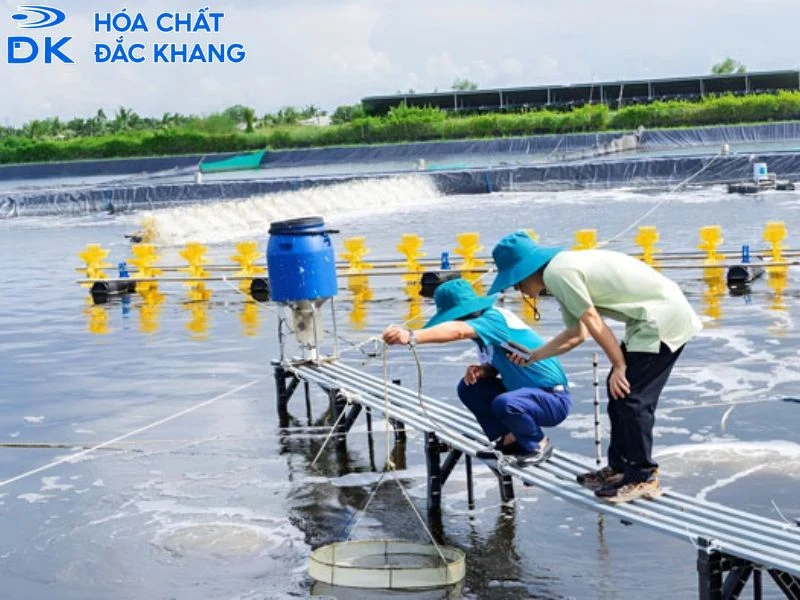 sử dụng oxy già trong thủy sản sử dụng oxy già trong thủy sản