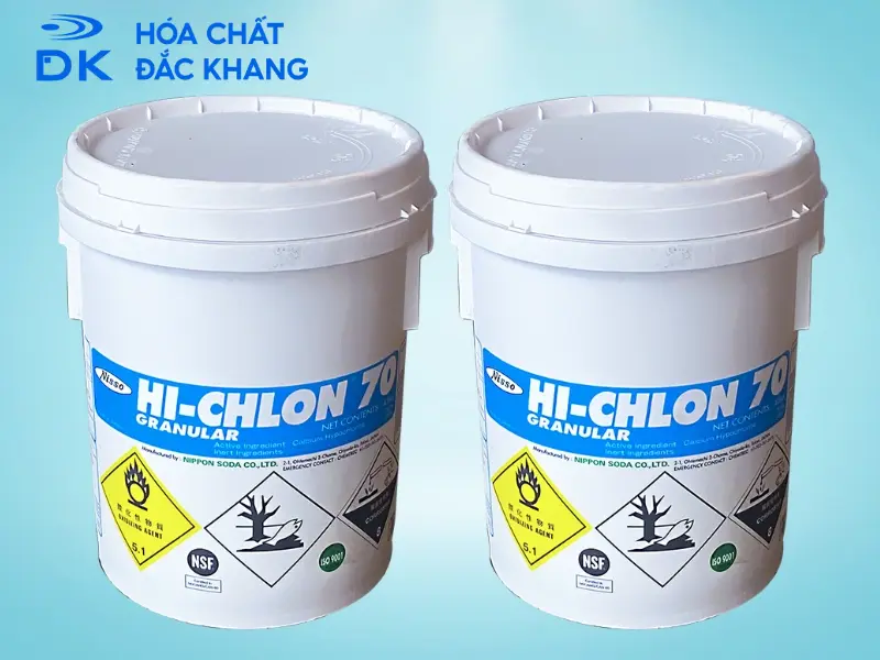 clo trong hồ bơi