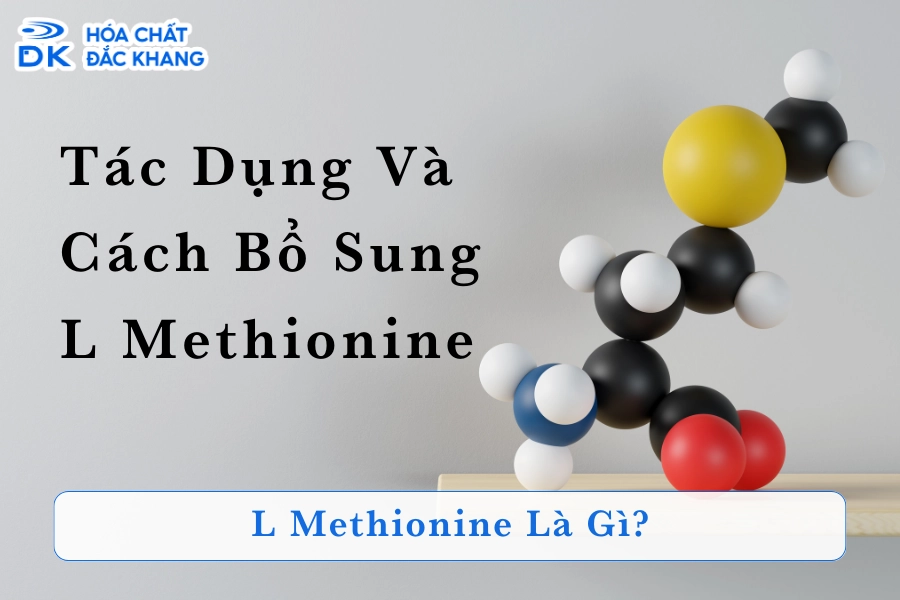 L Methionine Là Gì? Tác Dụng Và Cách Bổ Sung L - Methionine