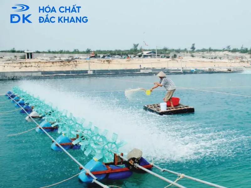 #Tác Dụng Của Chlorine Trong Thủy Sản Và Lưu Ý Khi Sử Dụng