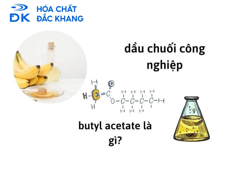 Butyl Acetate là gì? Đây là một Este còn có tên gọi khác là xăng thơm hay dầu chuối công nghiệp