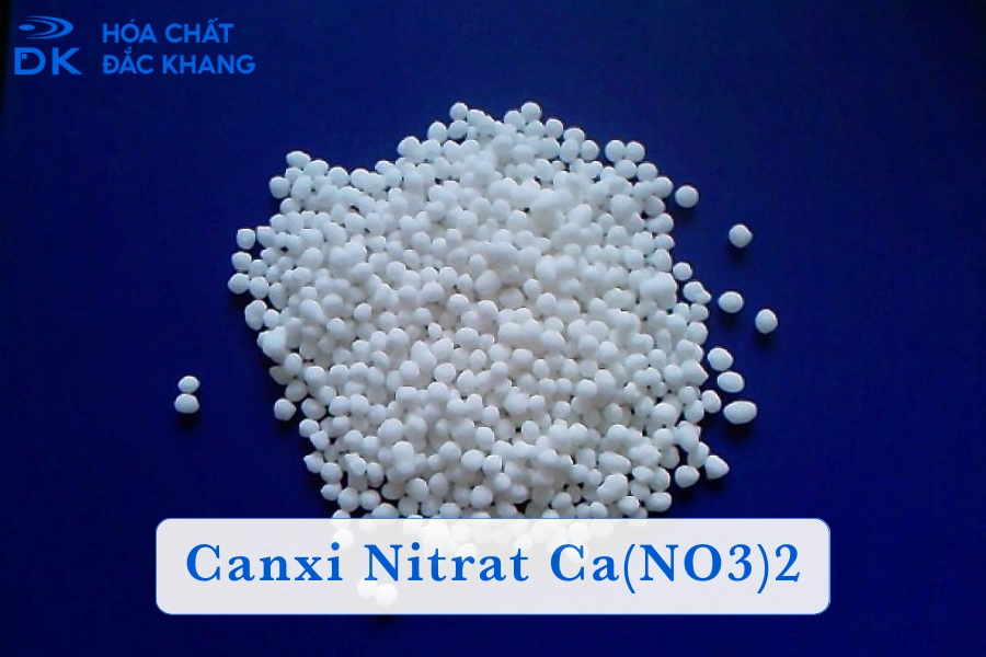 Canxi Nitrat Là Gì? Cách Dùng Và Ứng Dụng Của Ca(NO3)2