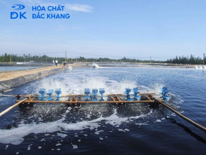 Tác dụng của các loại BKC