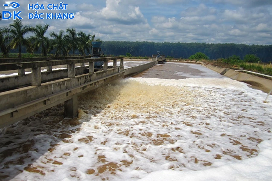 Tác Dụng Của Formic Acid Xử Lý Nước Thải Tối Ưu Và Hiệu Quả