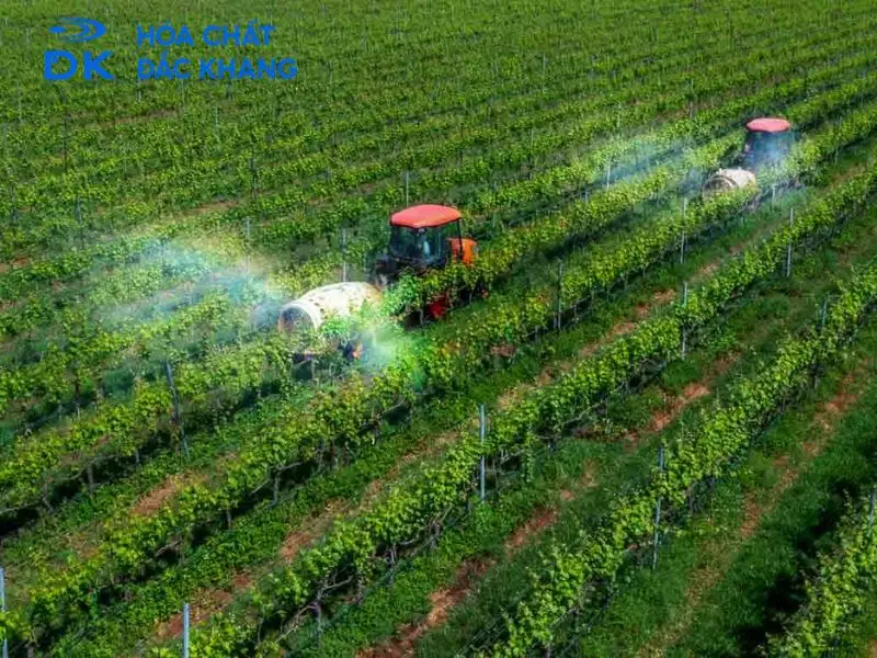 malic acid trong ngành nông nghiệp malic acid trong ngành nông nghiệp