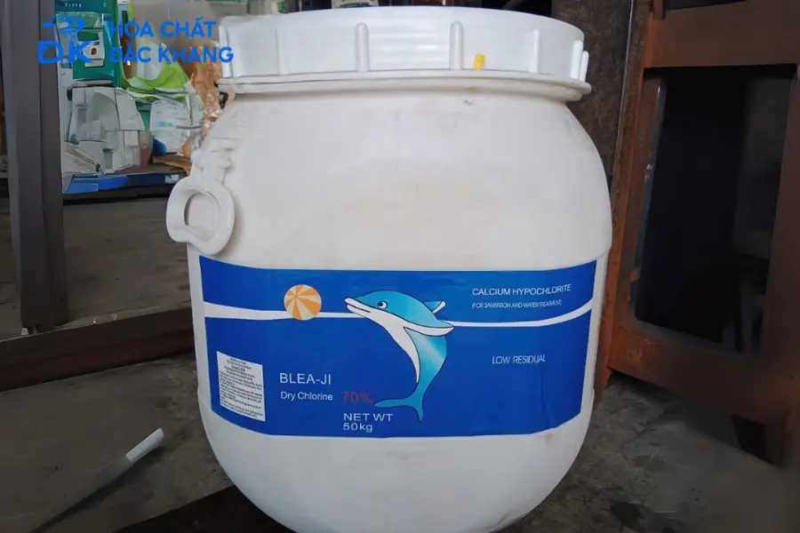 #Chlorine Cá Heo Có Tốt Không? Ưu Và Nhược Điểm Cần Biết