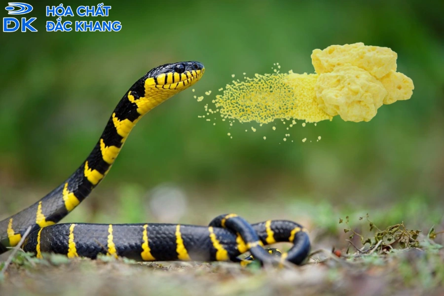 Bột Lưu Huỳnh Đuổi Rắn: Cách Dùng Và Lưu Ý Khi Sử Dụng
