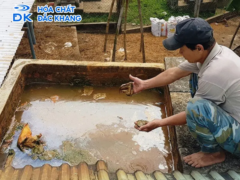 cách xử lý nước giếng đào có mùi hôi cách xử lý nước giếng đào có mùi hôi