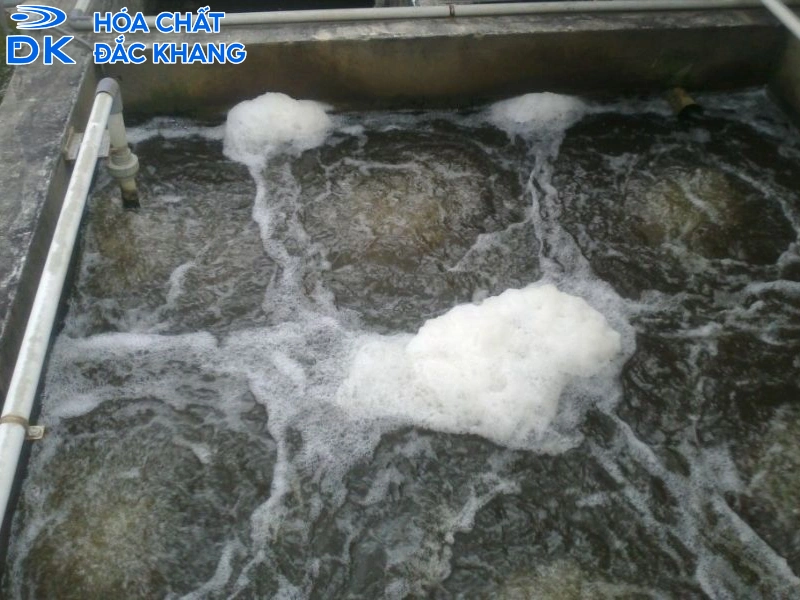 Formic Acid xử lý nước thải Formic Acid xử lý nước thải