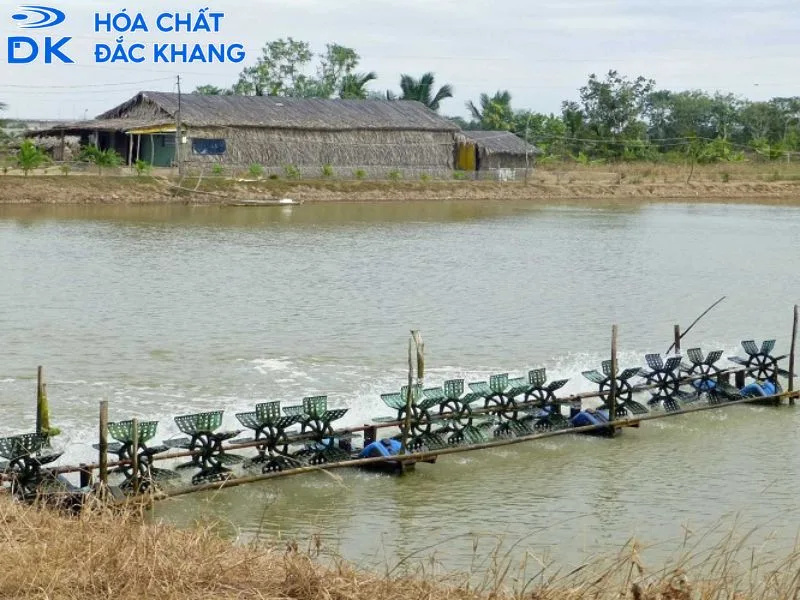 Tiêu chí chọn nguồn oxy già công nghiệp cho thủy sản: Đừng mua "tùy mù" Tiêu chí chọn nguồn oxy già công nghiệp cho thủy sản: Đừng mua "tùy mù"