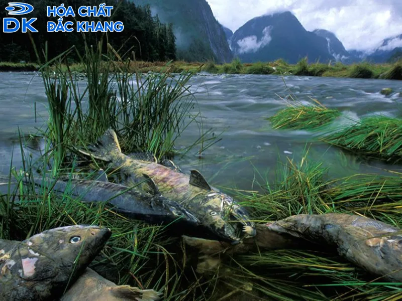 tác hại của h2so4 đối với môi trường