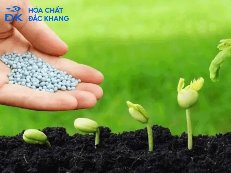 acid sulfuric H2SO4 trong sản xuất phân supephotphat