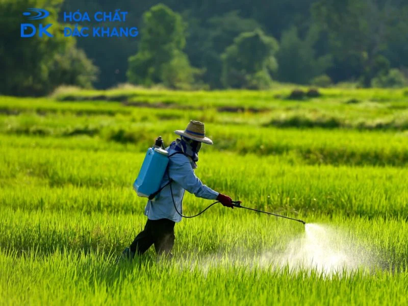 cách sử dụng viên sủi ga3 cách sử dụng viên sủi ga3