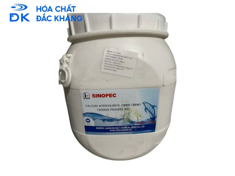 #Chlorine Cá Heo Có Tốt Không? Ưu Và Nhược Điểm Cần Biết