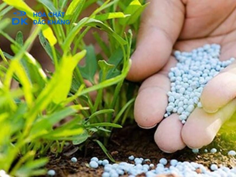 Acid Sulfuric H2SO4 96% Được Ứng Dụng Trong Những Ngành Nào?