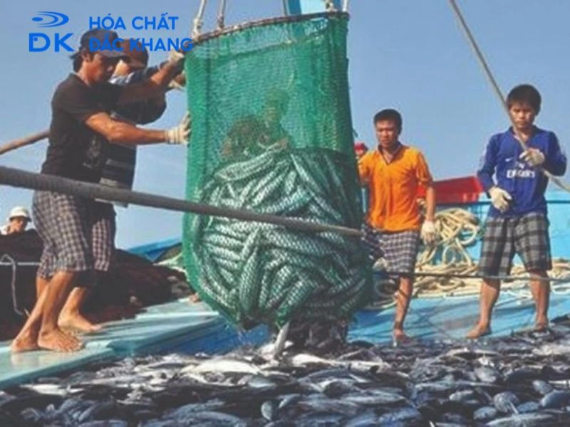 bkc là gì bkc là gì