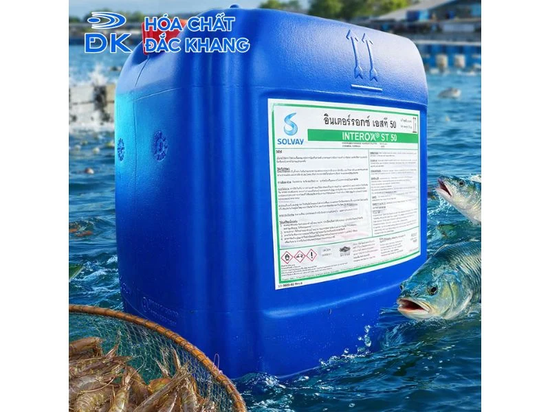 Quy trình cấp oxy già xuống ao: Thời điểm, vị trí và checklist an toàn Quy trình cấp oxy già xuống ao: Thời điểm, vị trí và checklist an toàn