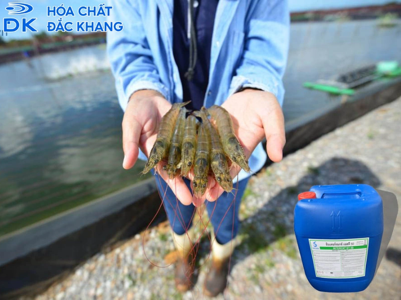 công dụng oxy già công dụng oxy già