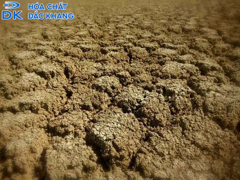 Tác hại axit sunfuric đối với đất và hệ sinh thái đất 