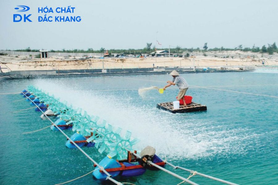 #Tác Dụng Của Chlorine Trong Thủy Sản Và Lưu Ý Khi Sử Dụng