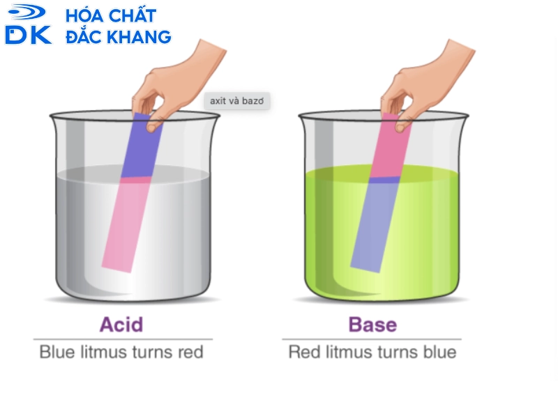 h2so4 là axit hay bazơ