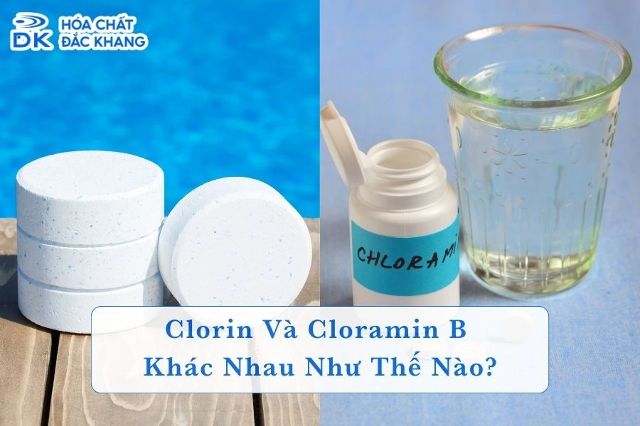 [So Sánh] Clorin Và Cloramin B Khác Nhau Như Thế Nào?