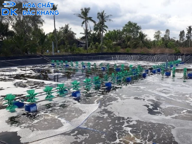công dụng của oxy già công dụng của oxy già