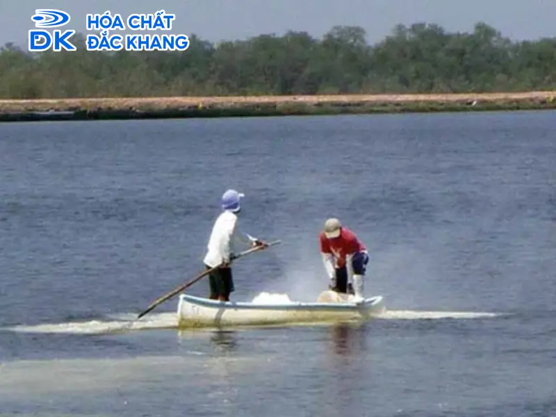Hóa chất xử lý nước nuôi tôm